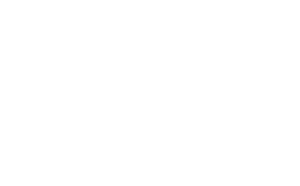 UofSC Alumni Logo
