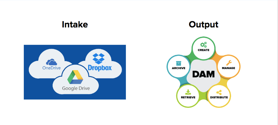  Intake vs Output