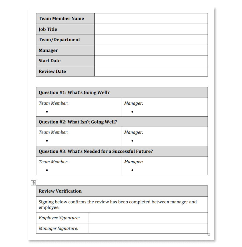 Performance Review Template Doc