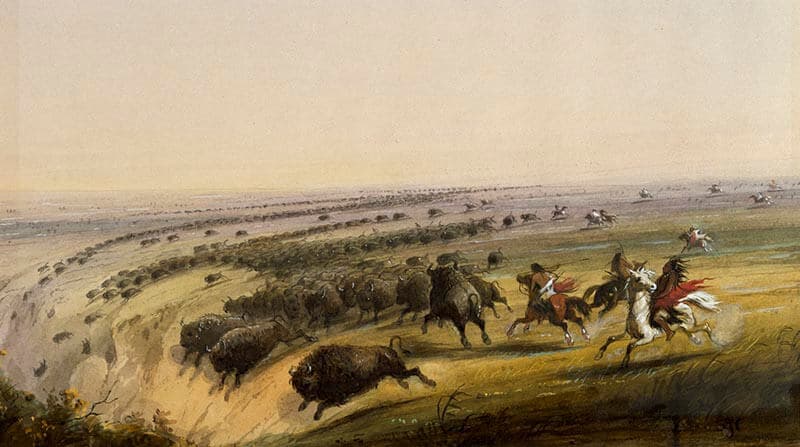 buffalo jump
