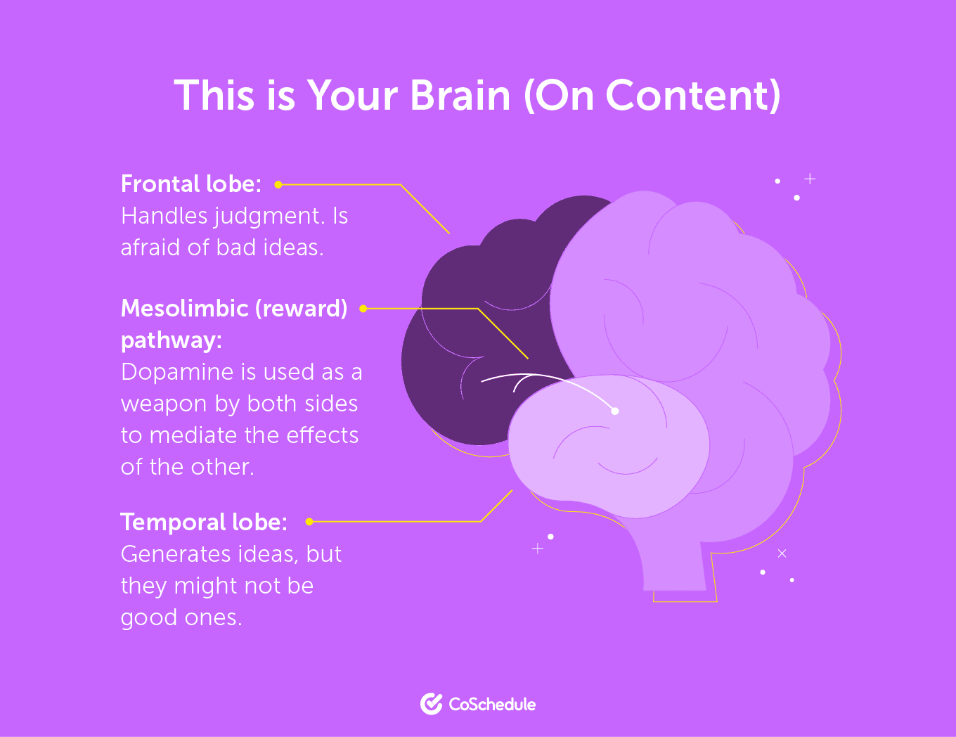 This is Your Brain (On Content)