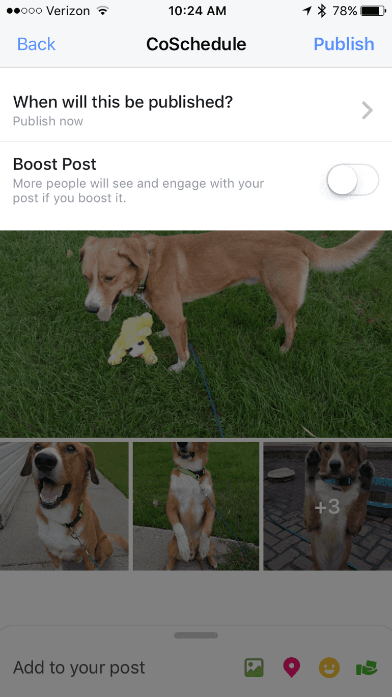 Create Effective Multi Image Posts On Facebook And Twitter