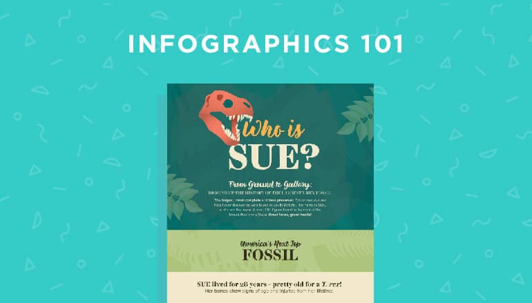 Infographics 101