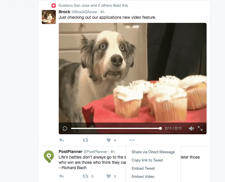Example of directly uploaded video on Twitter