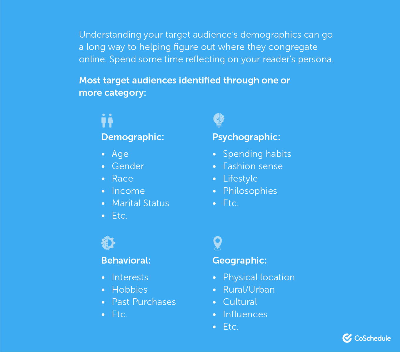 Understanding your target audience's demographics ...