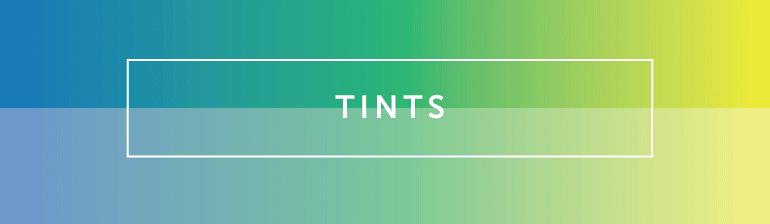 Color Psychology In Marketing: The Complete Guide [Free Download]