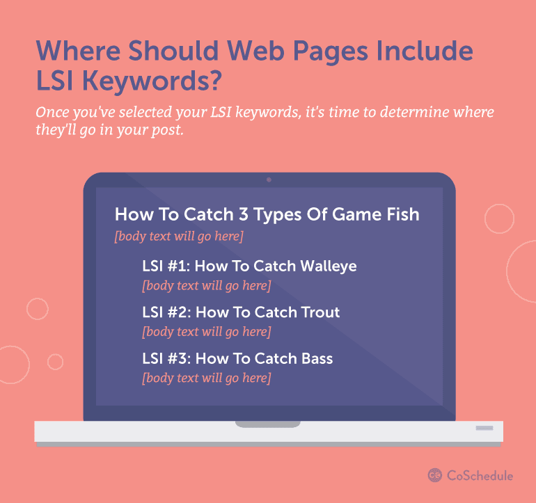 Where Should LSI Keywords Be Located On Web Pages?