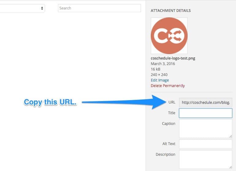 Image URL location in Wordpress